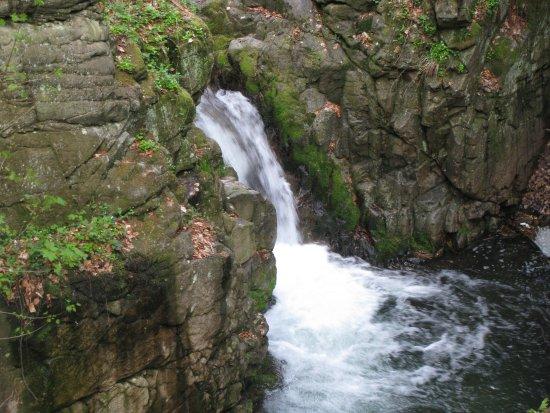 Rezerwat przyrody Wodospad Wilczki